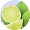 dual_power_p_limone_mini